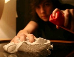 Избавление от земляных блох в квартире 